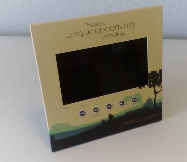 Video Display